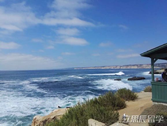 高度配合，加拿大高中生获密歇根大学安娜堡分校经济学录取！