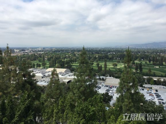 扬长避短，稳扎稳打，获德克萨斯大学达拉斯分校录取！