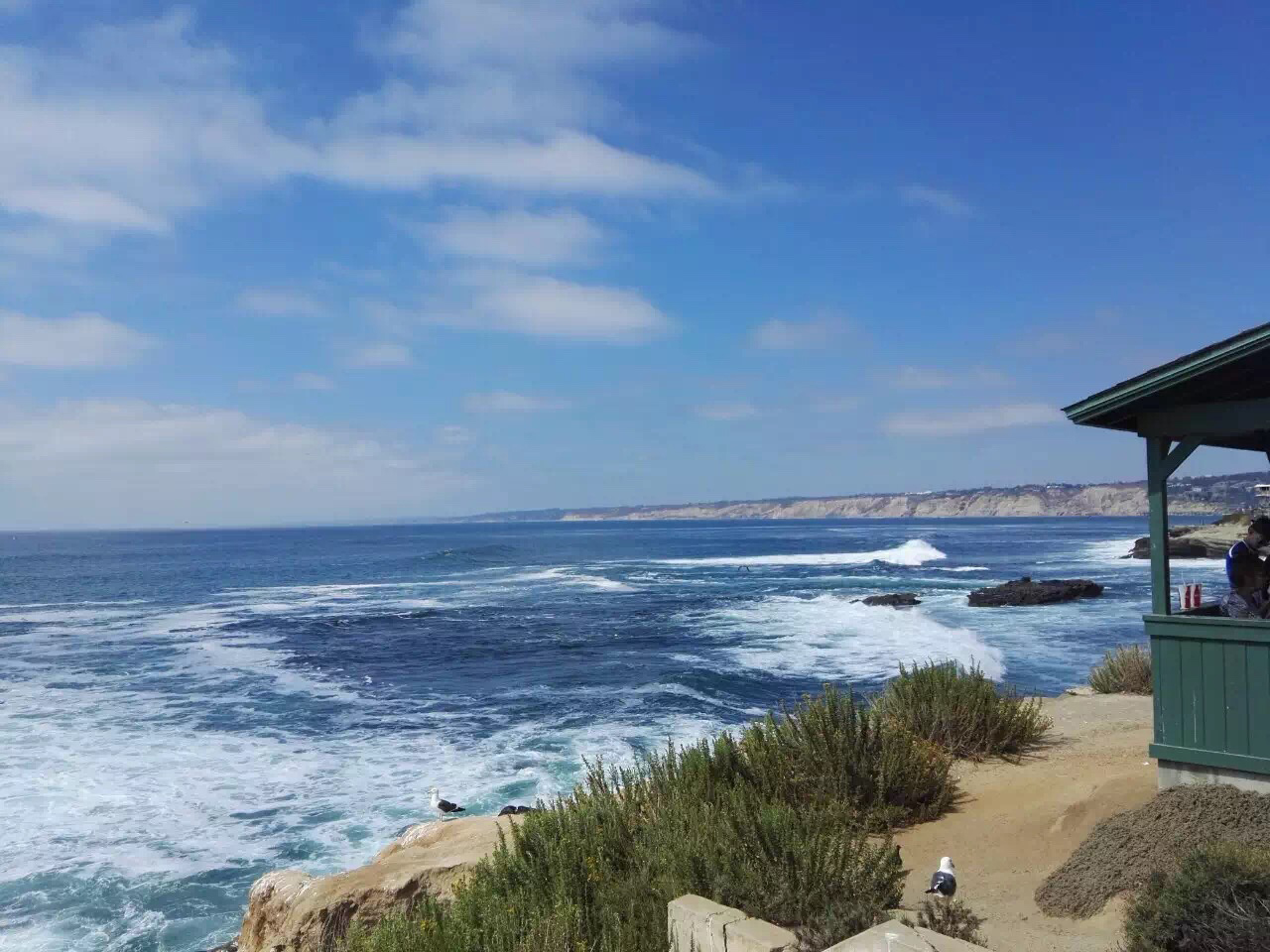 美国留学签证需要多久才能办下来？超实用！