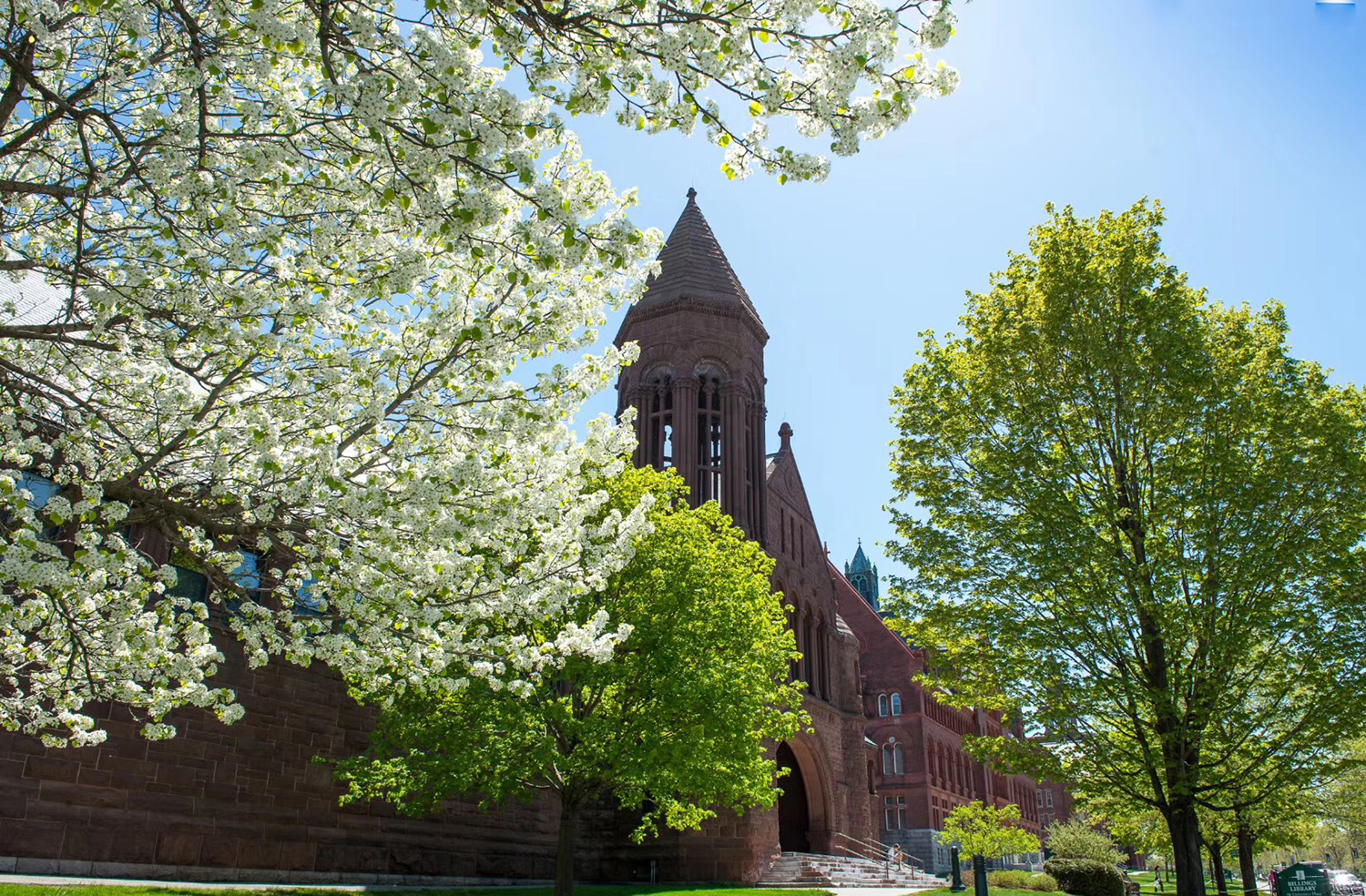 美国留学签证中的学习计划，该怎么写？