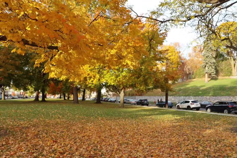 杜克大学材料科学与工程专业